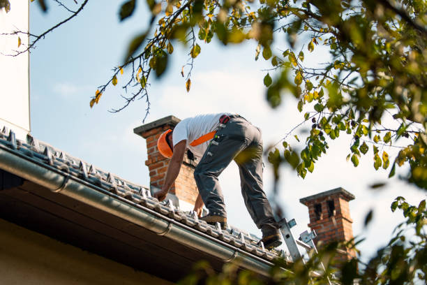 Best Metal Roofing Contractor  in Woodlake, VA