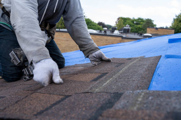 Best Gutter Installation and Roofing  in Woodlake, VA