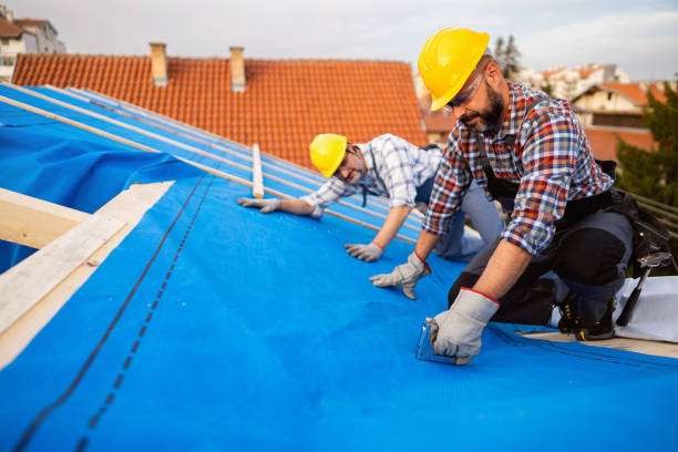 Best Gutter Installation and Roofing  in Woodlake, VA